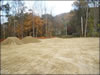 My Gallery: Image